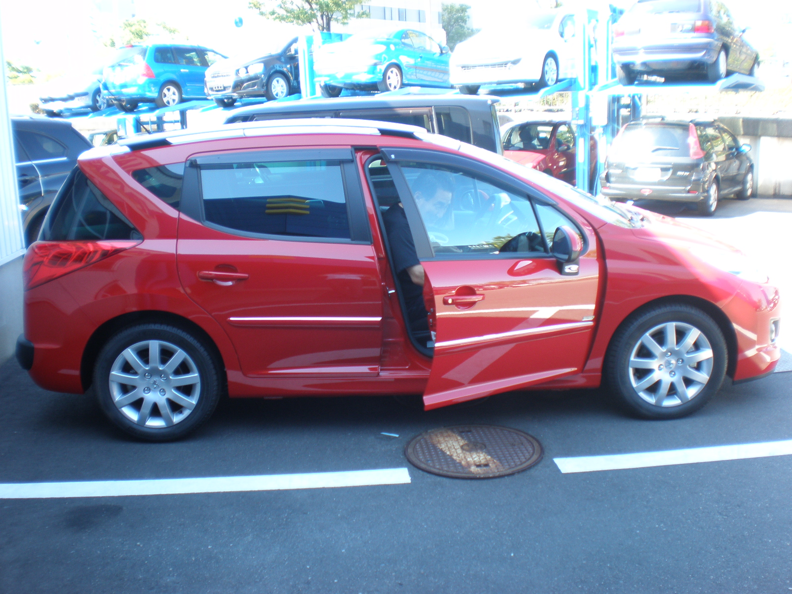 アデンレッドが鮮やか！