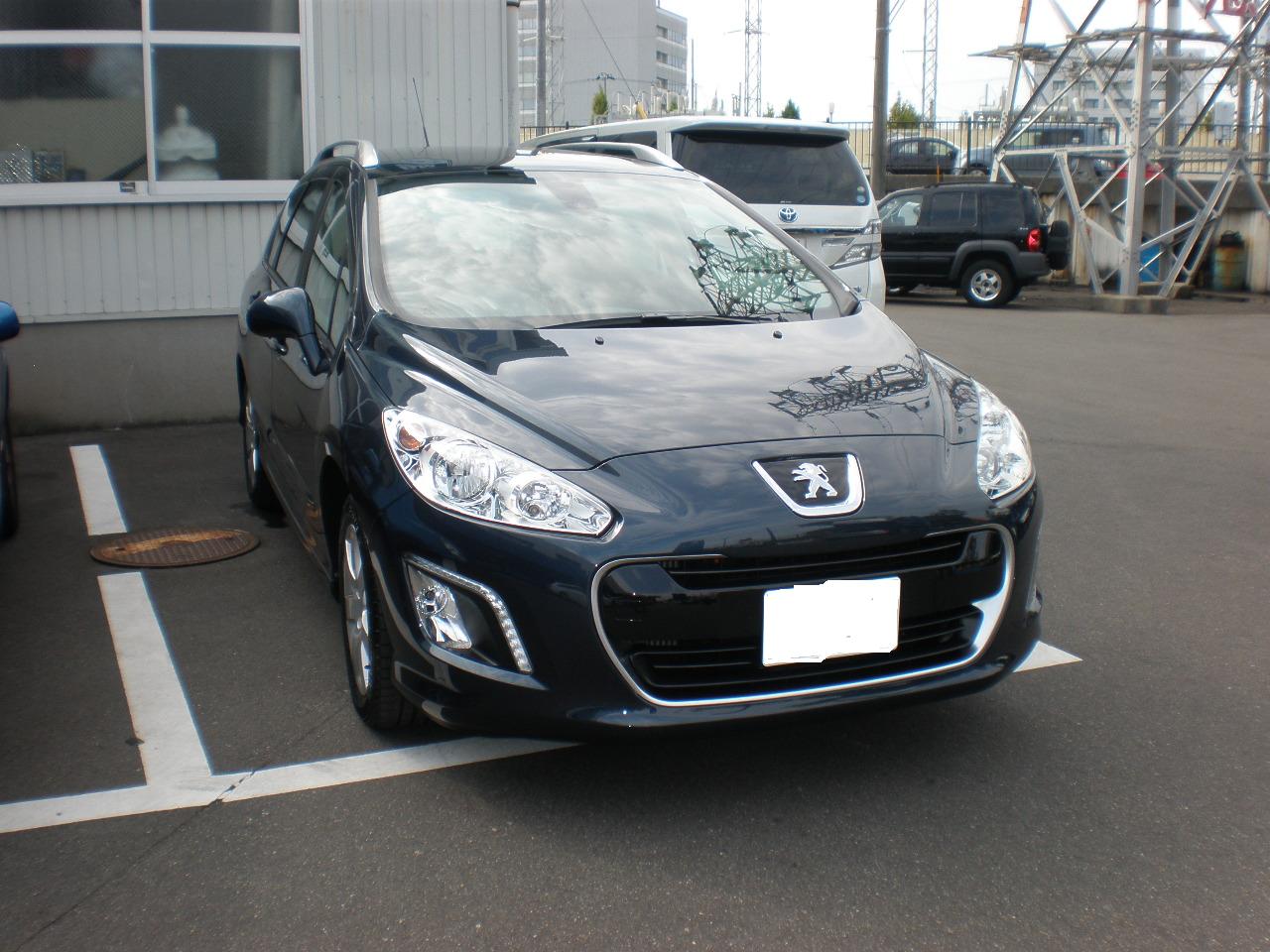 エジプシャン・ブルー３０８ＳＷ