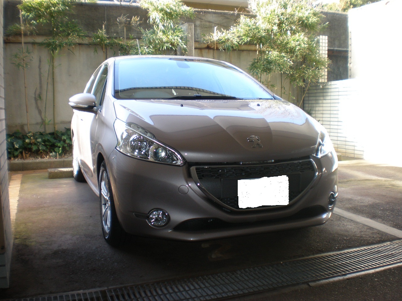 ブロッサムグレー２０８納車！