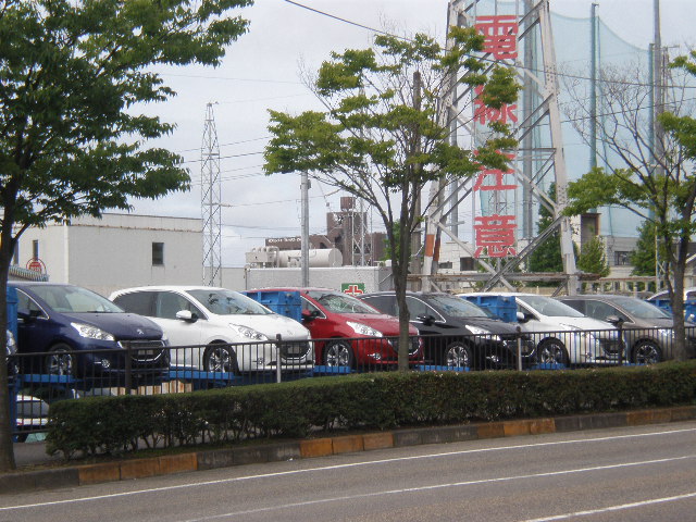 ずらり並んだ・・・