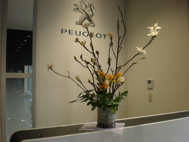 お花が咲きました☆