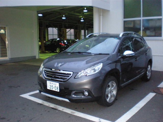 ２００８デビューフェア★