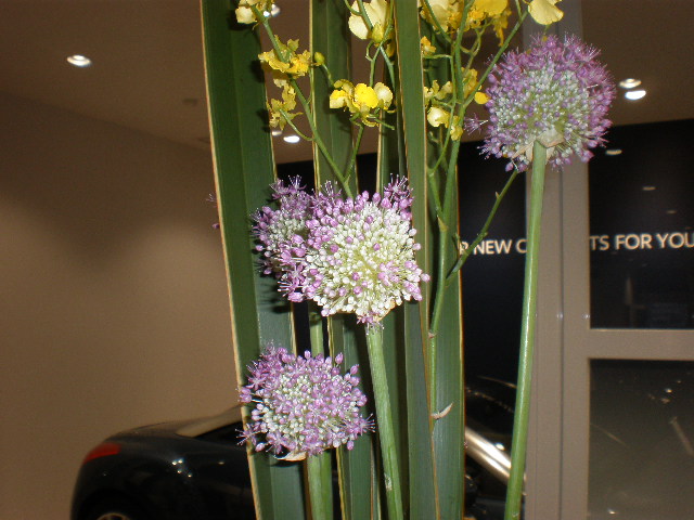 今週のお花＊