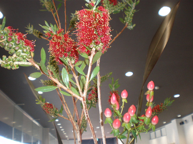 お花紹介＊