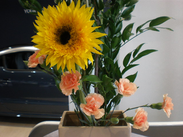 お花紹介