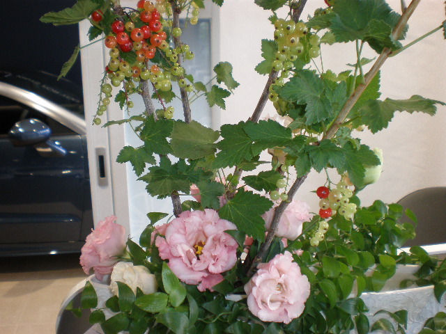 今週のお花＊