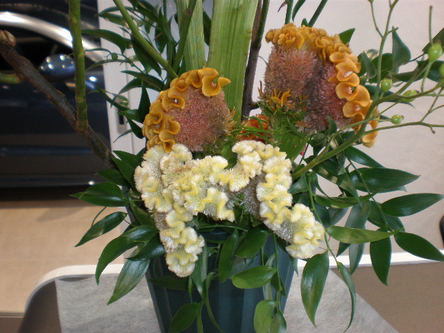 お花紹介