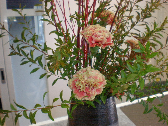 今週のお花