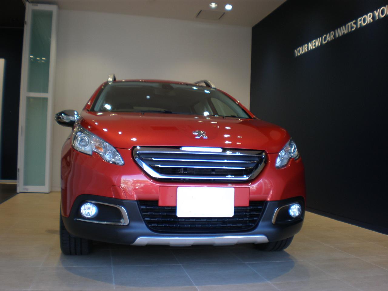 2008 トルマリンレッド