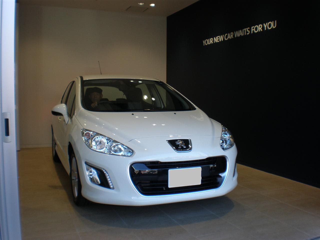 308PREMIUM