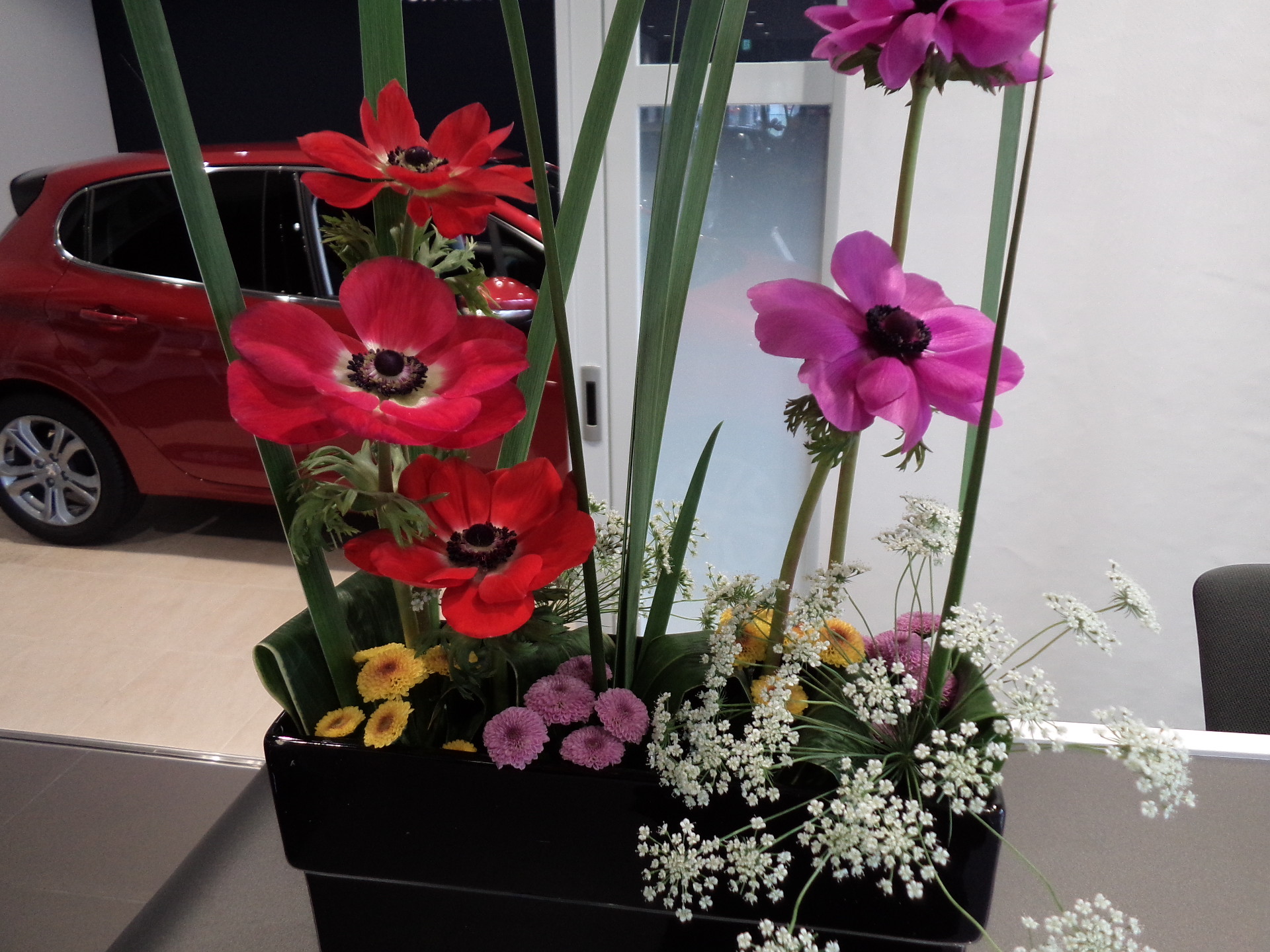 お花紹介