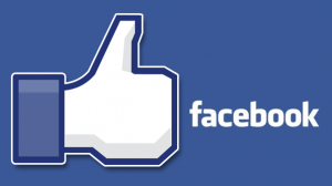 ～今週のお花とフェイスブック新設のご案内～