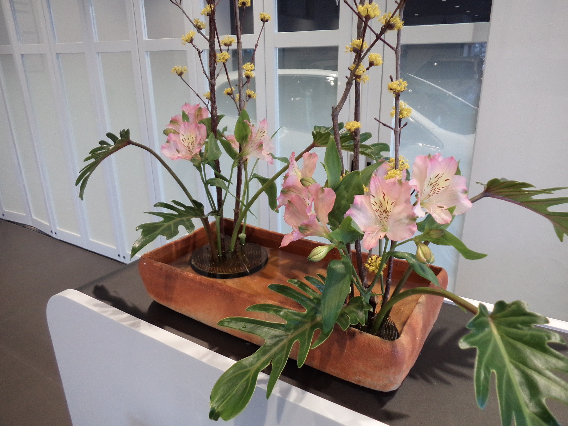 ～今週のお花とフェイスブック新設のご案内～
