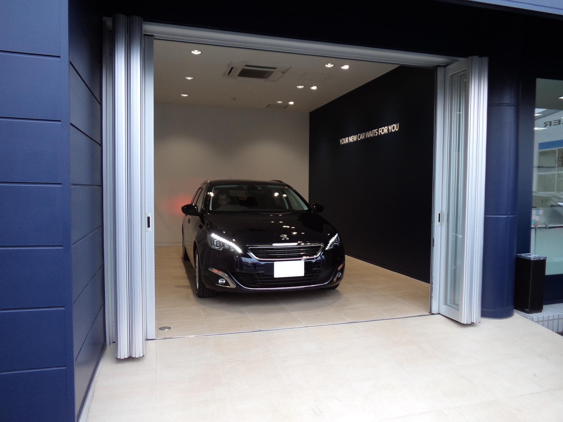 308SW