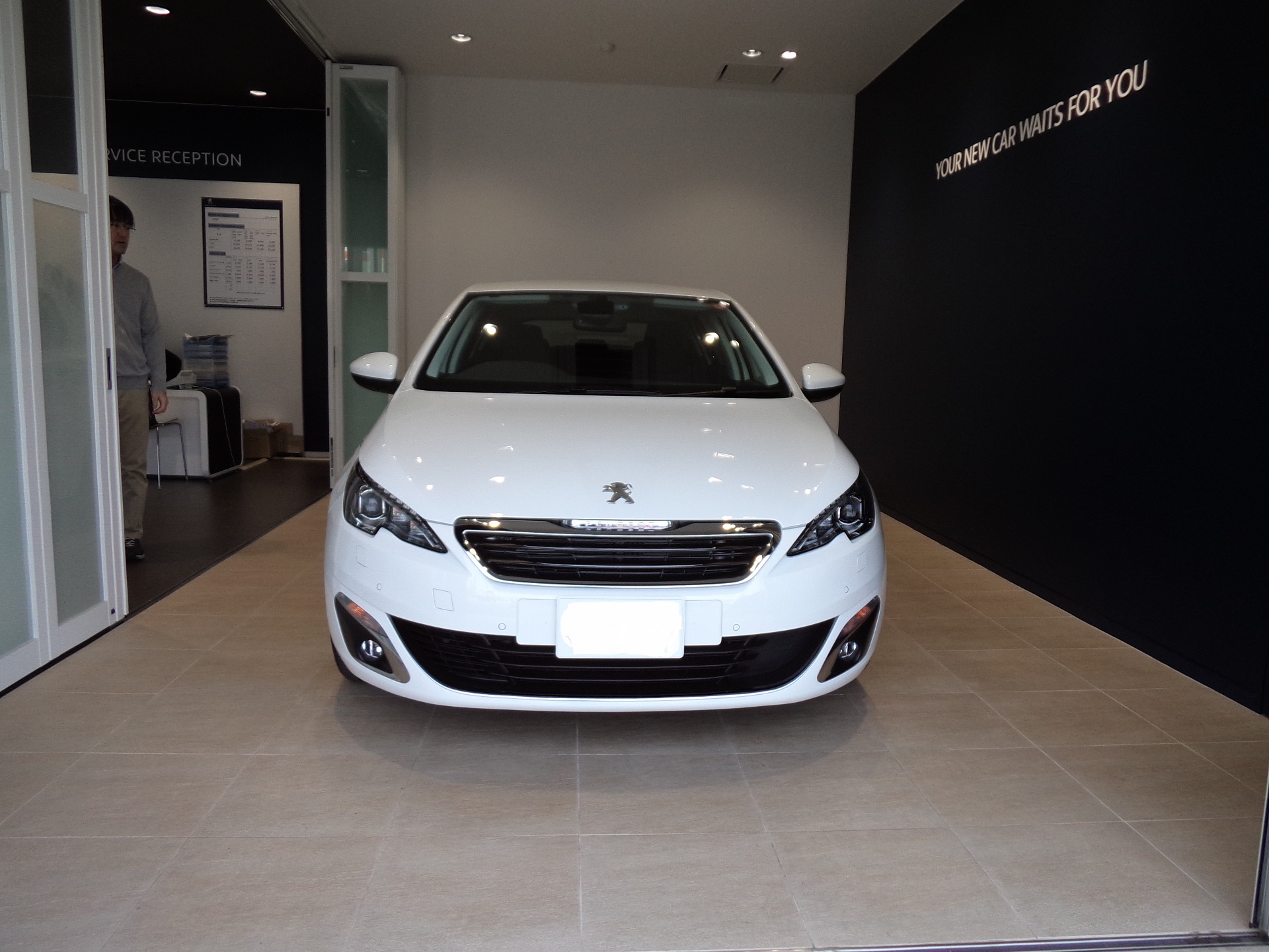 308Allure