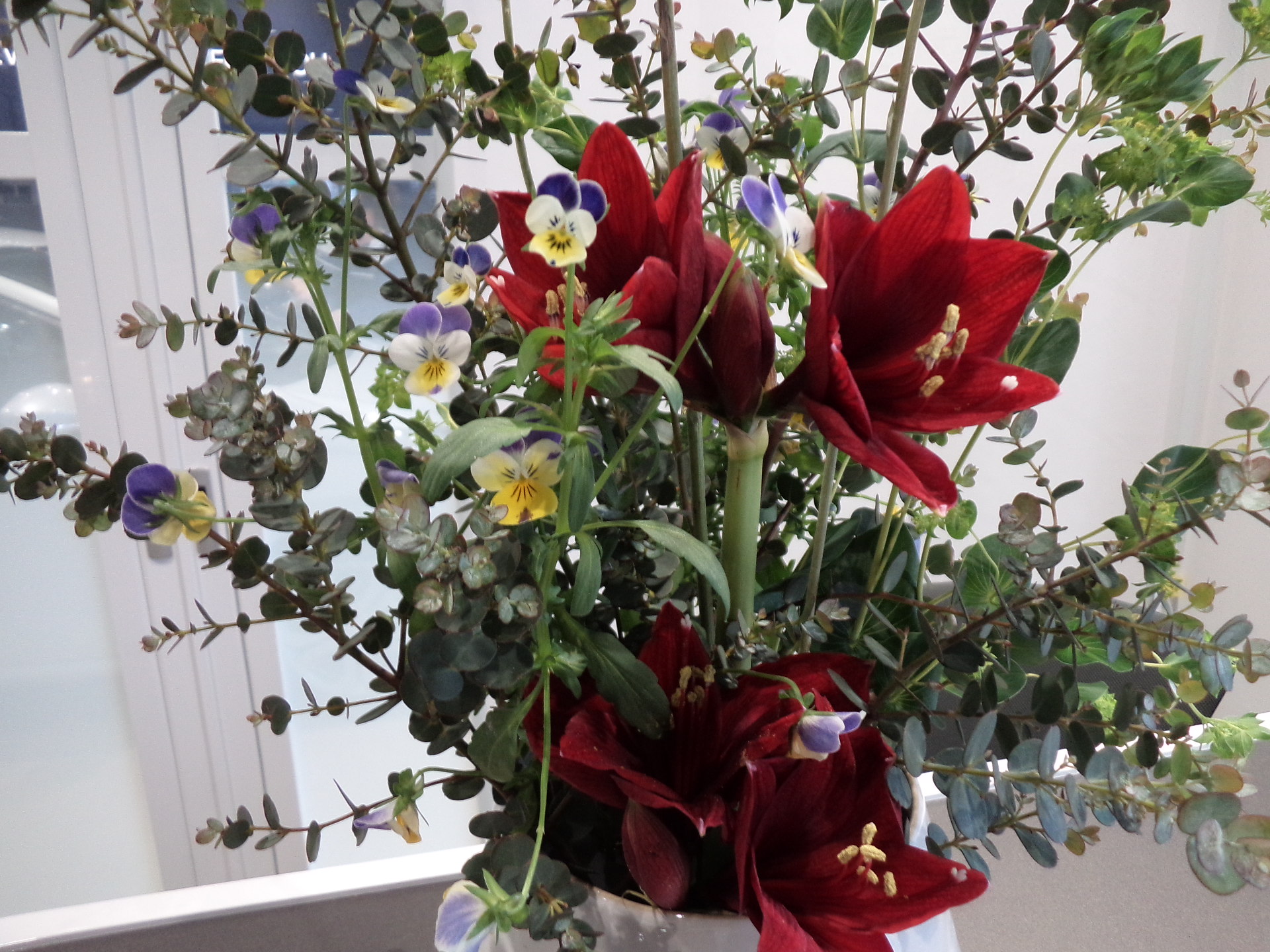 お花紹介