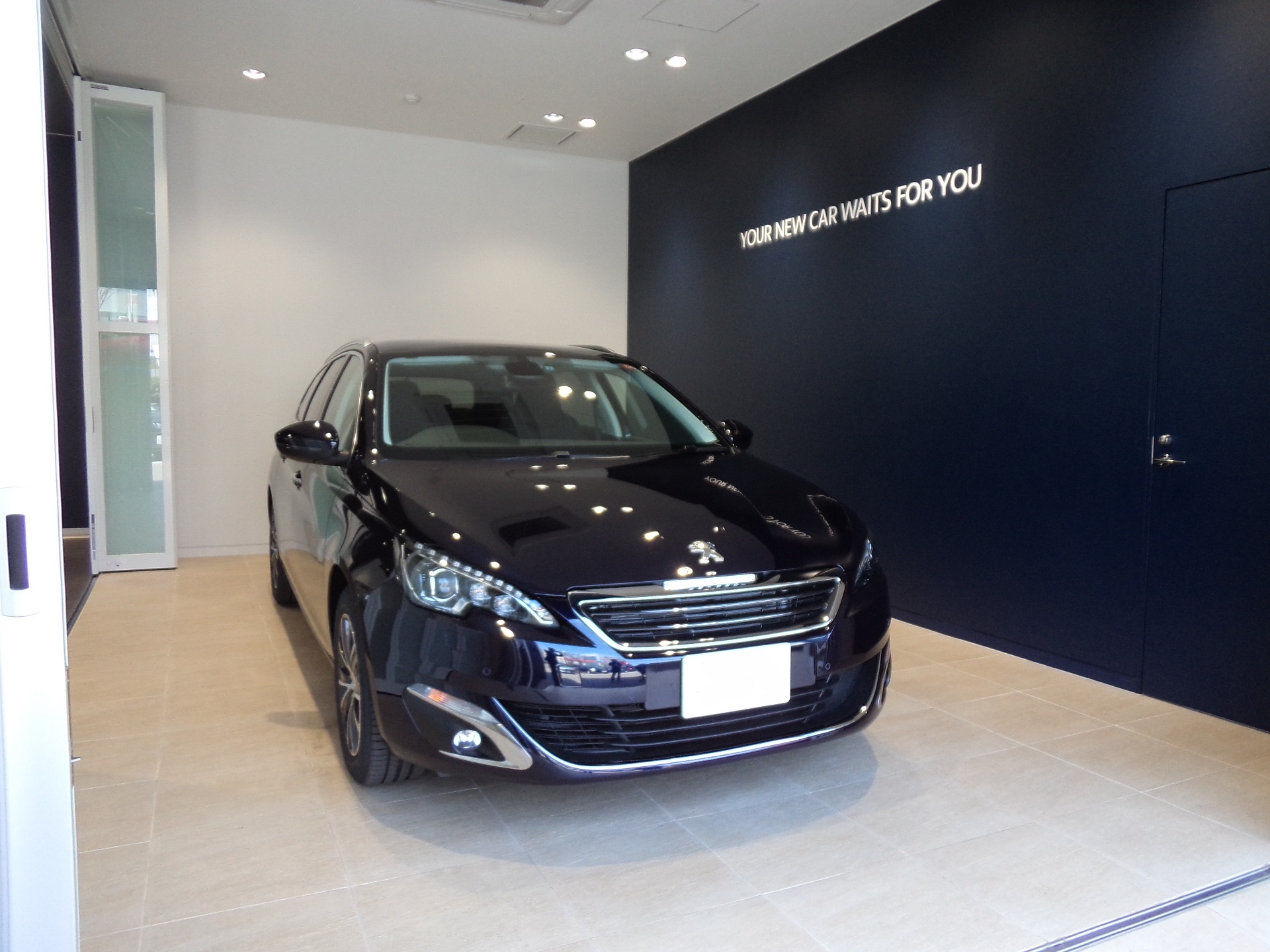 308SW CIELO