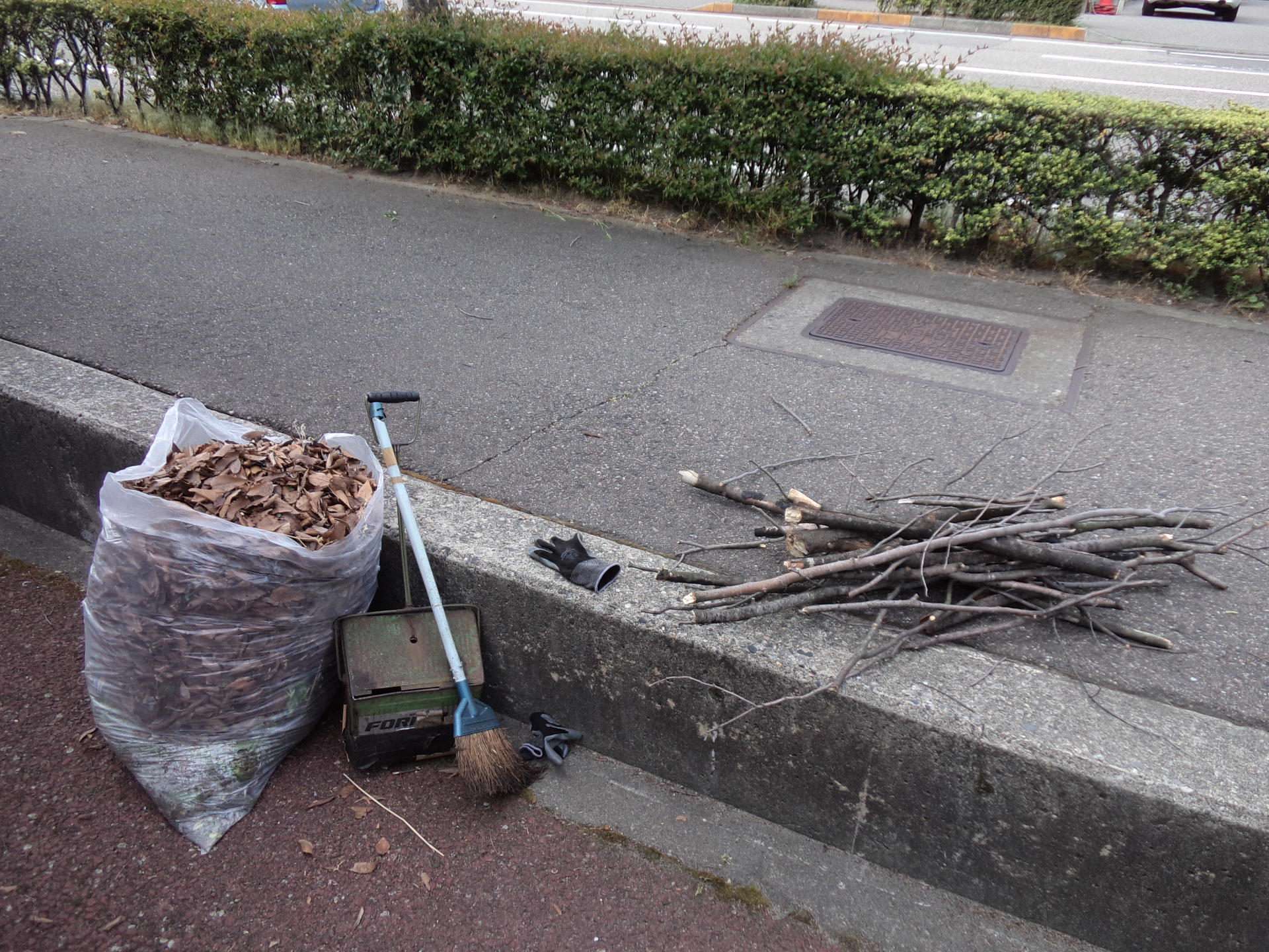 定例の近隣清掃にて♪