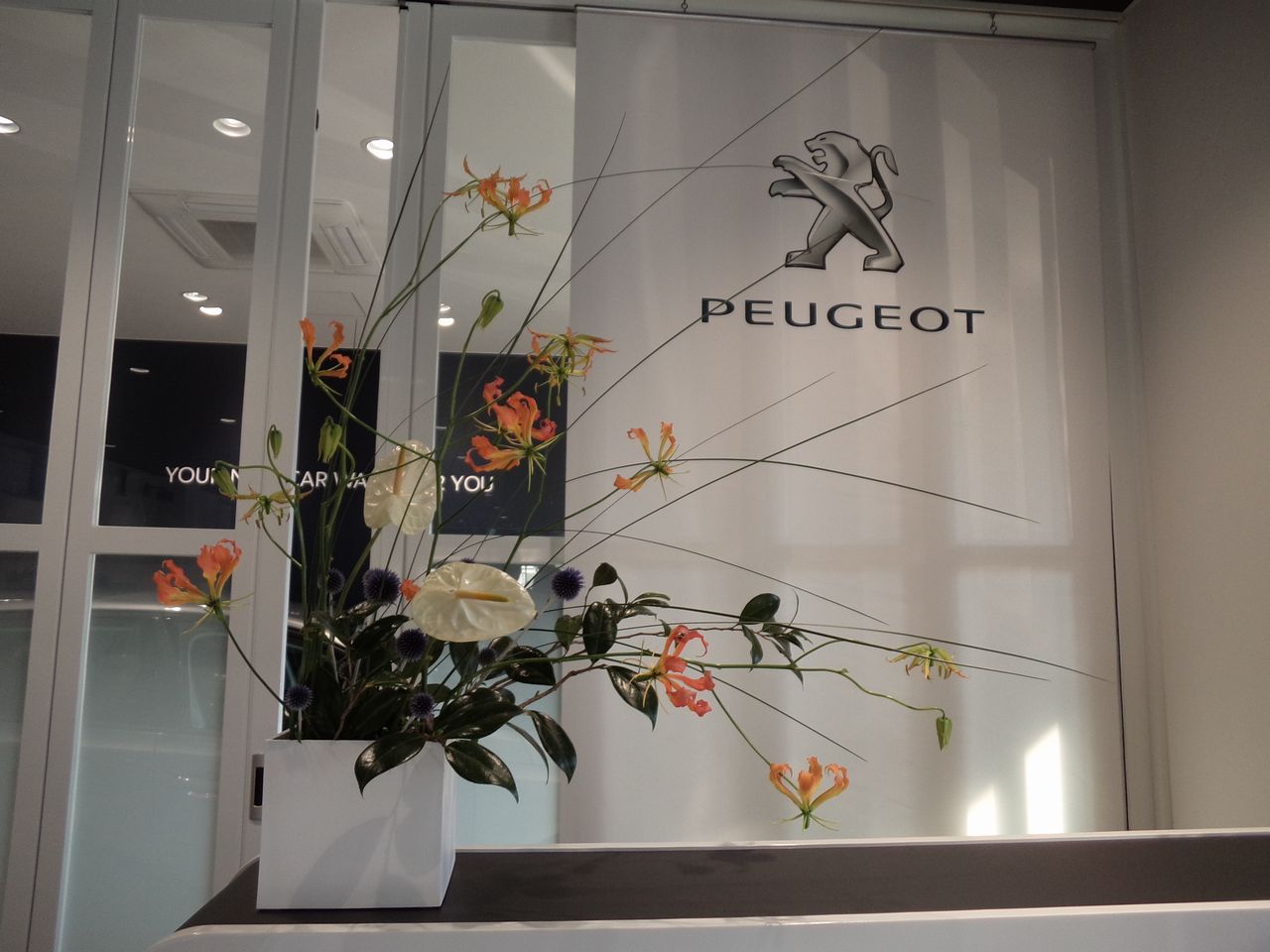 お花紹介＆8月営業日のご案内