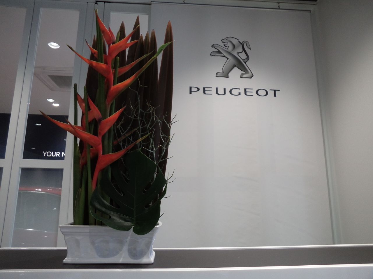 お花紹介＆10月営業日のご案内