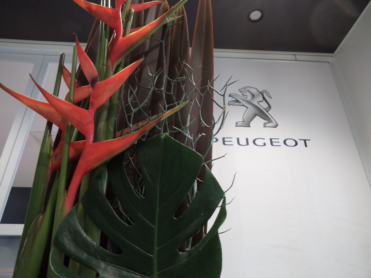 お花紹介＆10月営業日のご案内