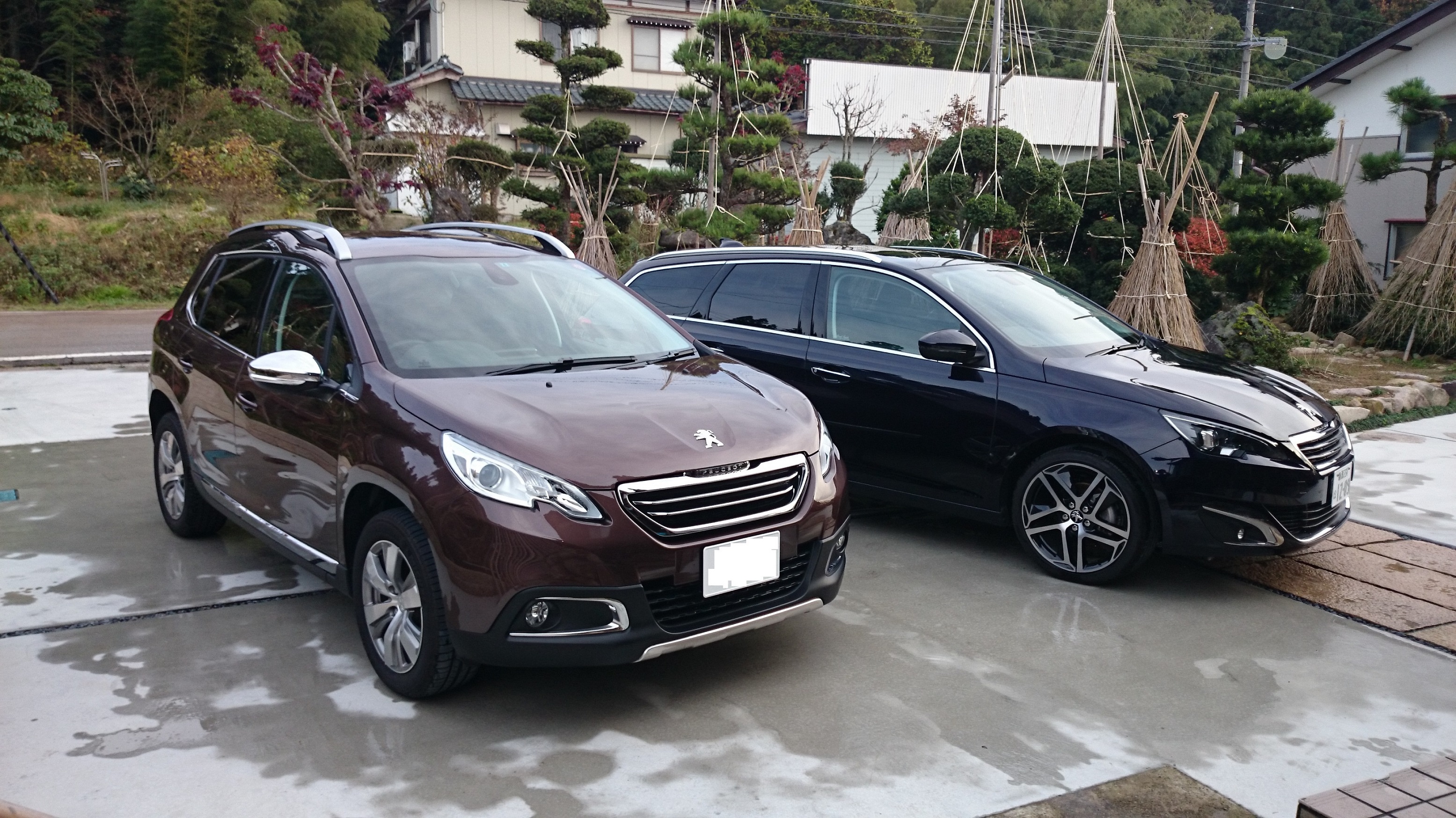～プジョーコーティング施工のお車のお手軽洗車～