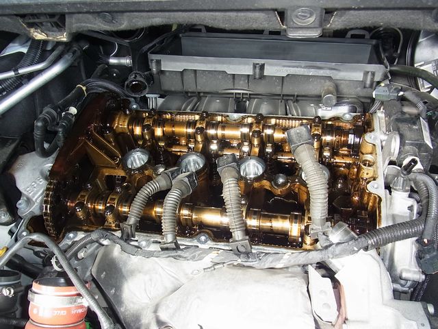 サービスキャンペン