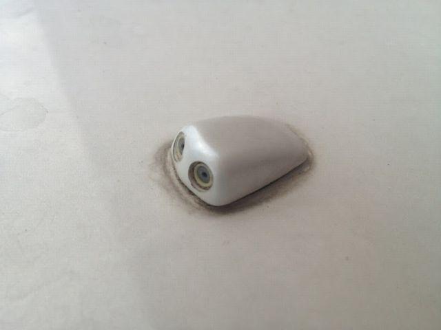 まるもの掟？！