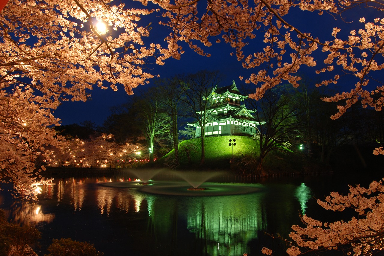 日本三大夜桜～高田城