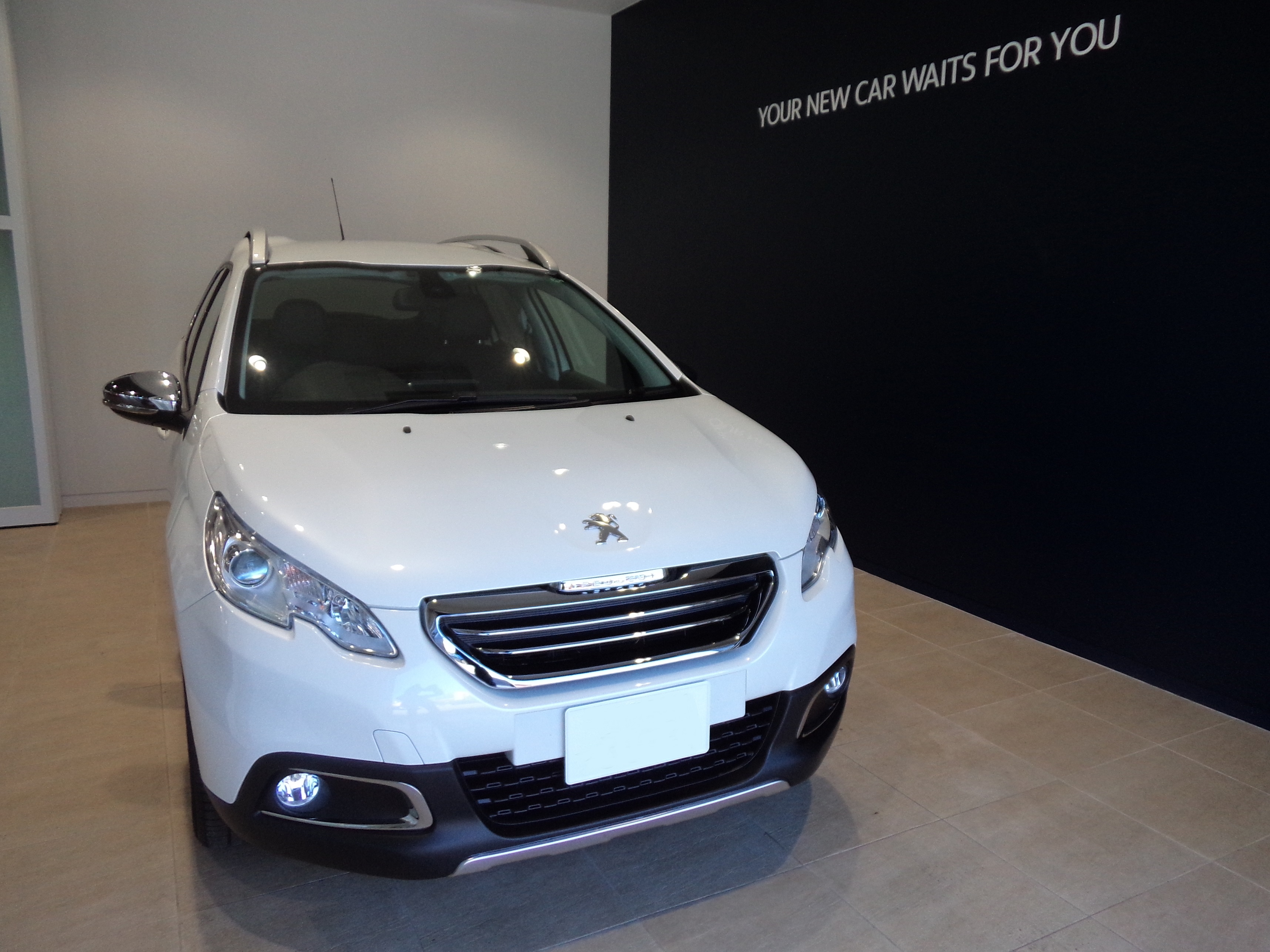 ～2008限定車レザーエディションご納車～