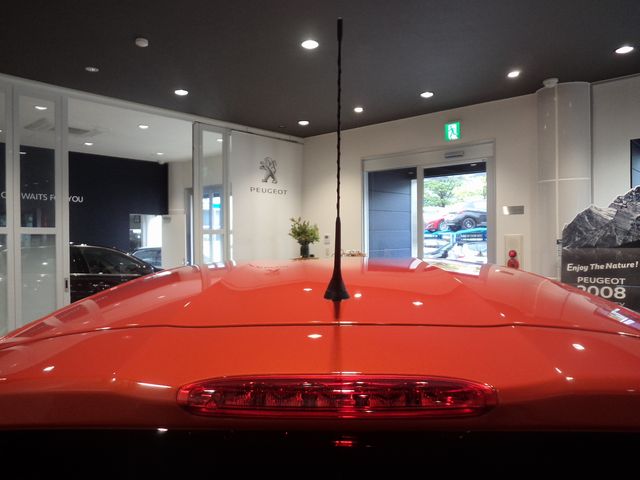 ルドルフといっぱいのアンテナ？