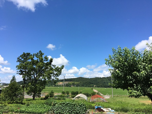 プジョーの在る生活～梅雨も快適、スーパーチタンガラスコート～