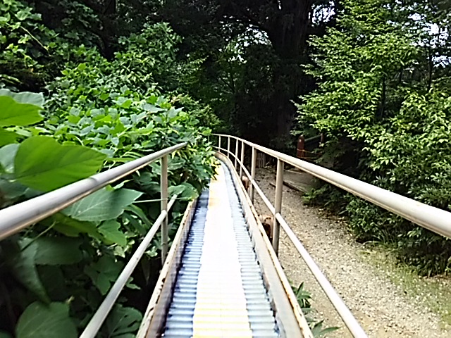 ビューティー・ペアー