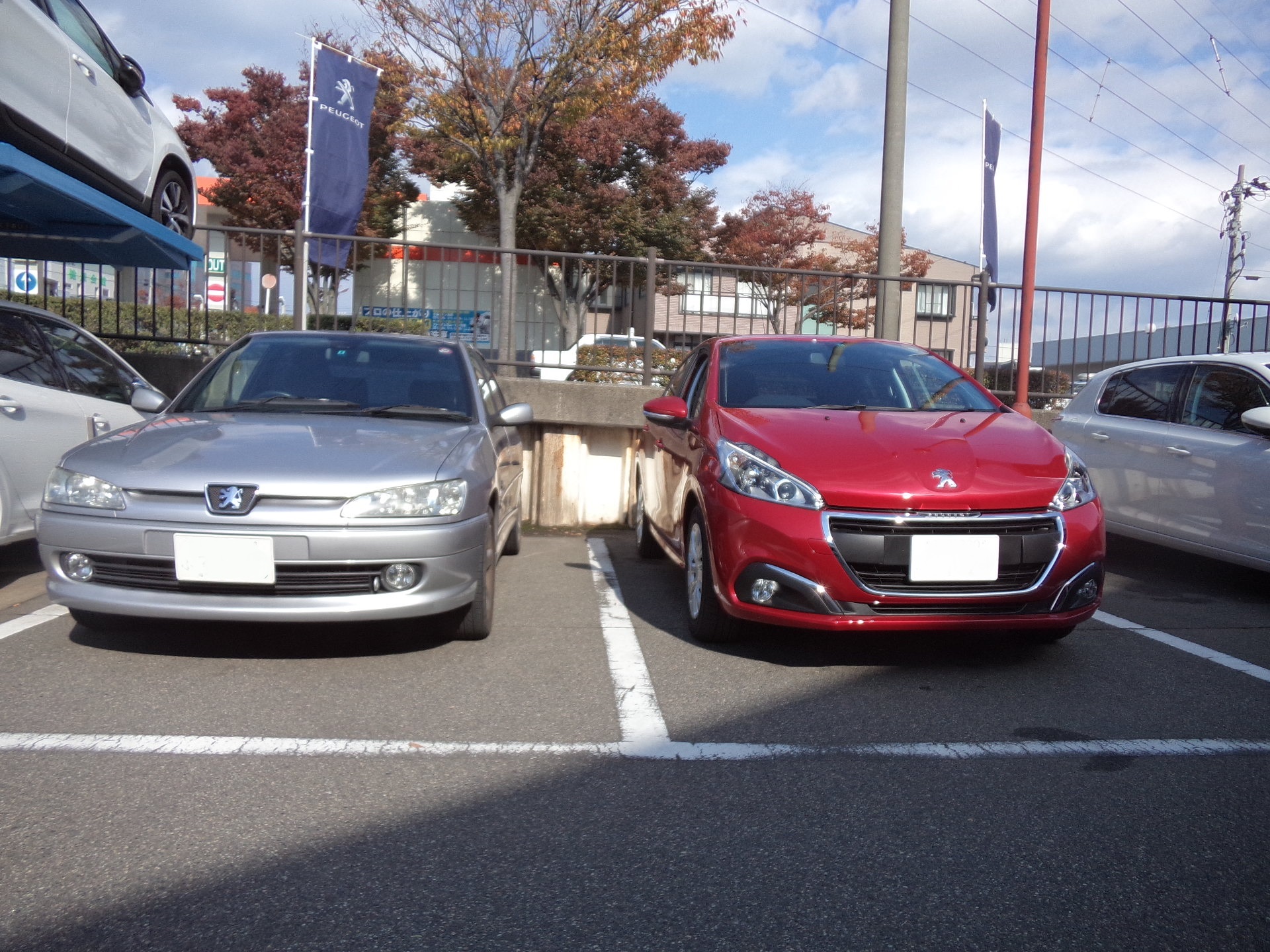 208STYLE MT