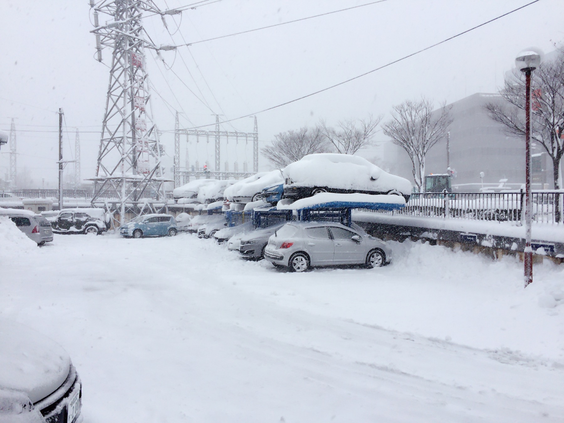 大雪！！！