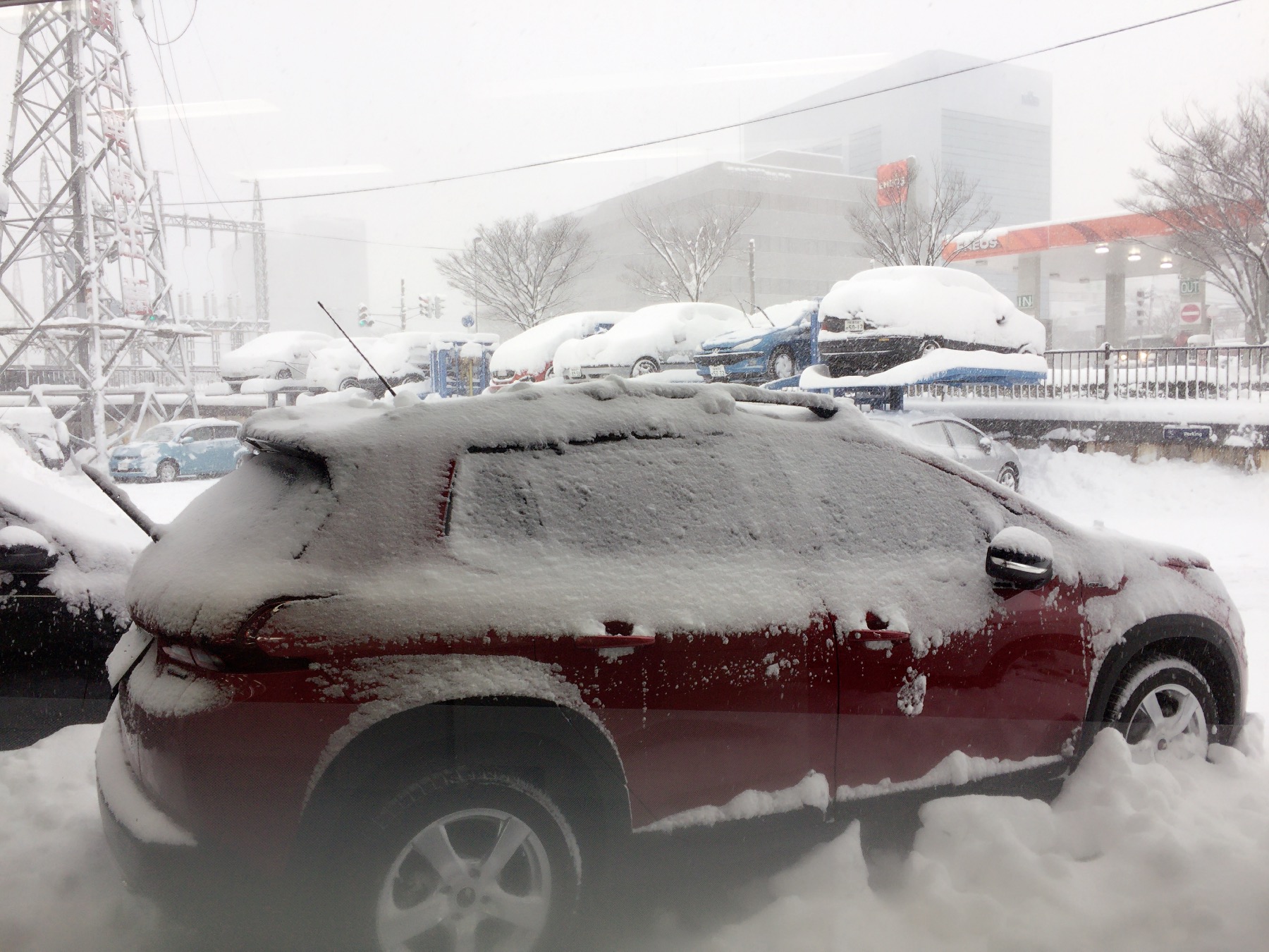 大雪！！！