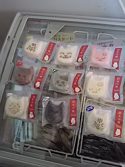 ライオンもねこ科です