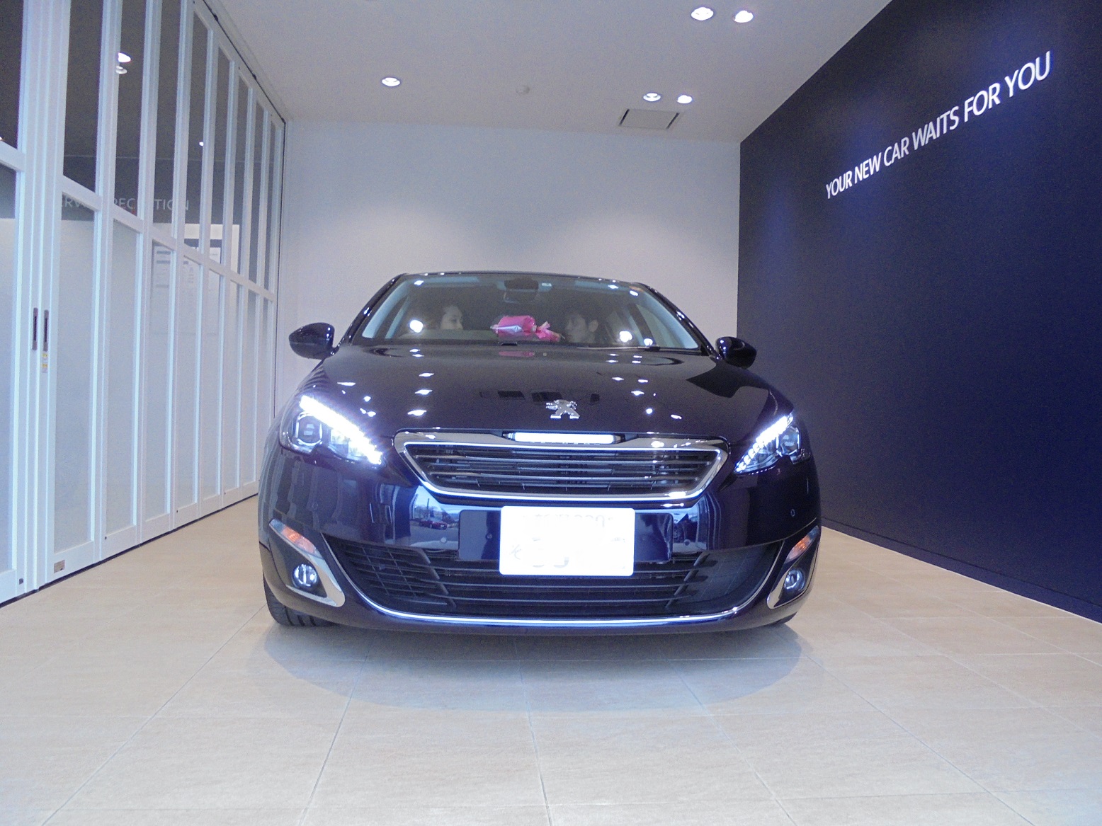 308ALLURE