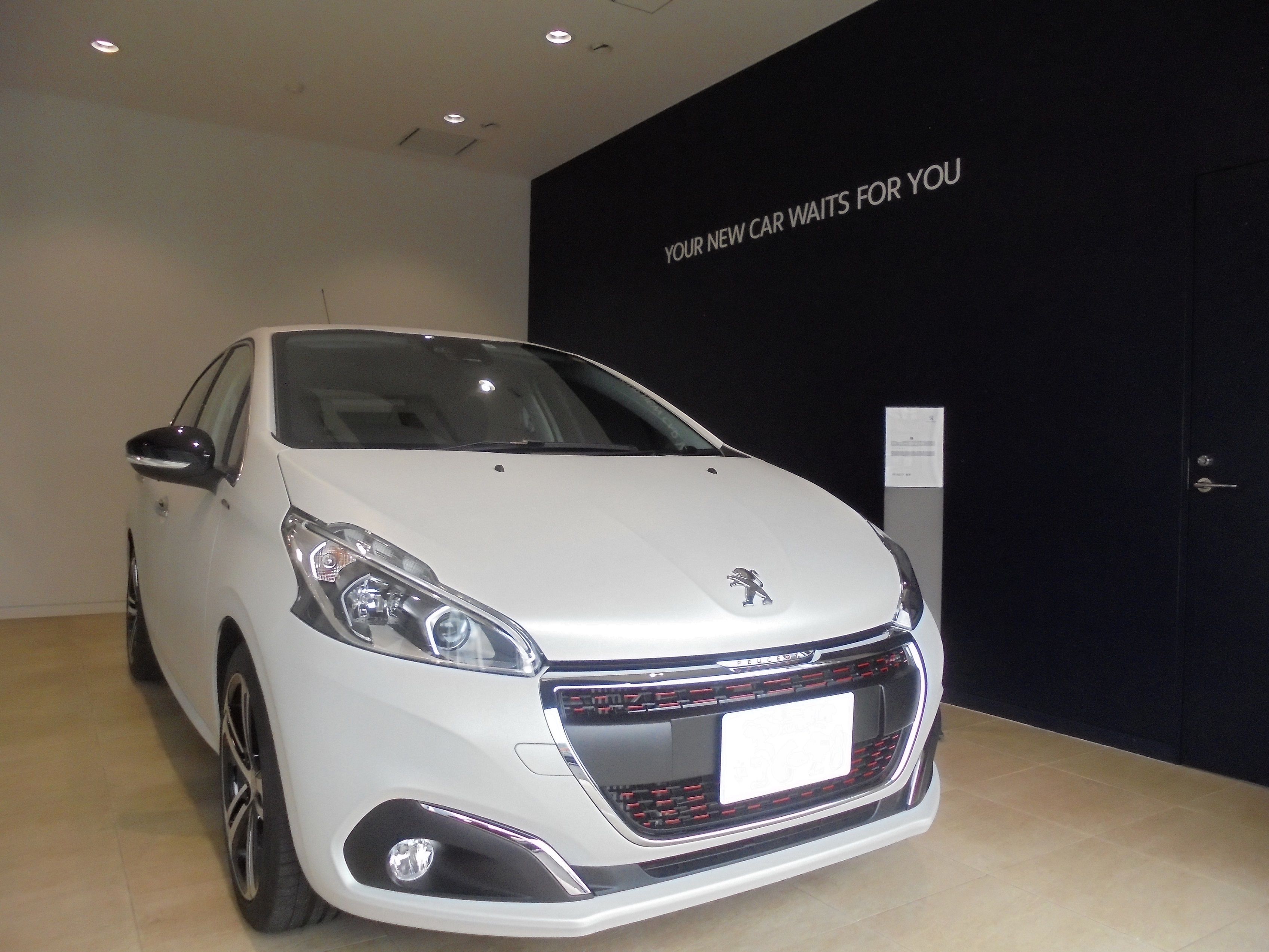 208GTLine ICEEDITION ご納車