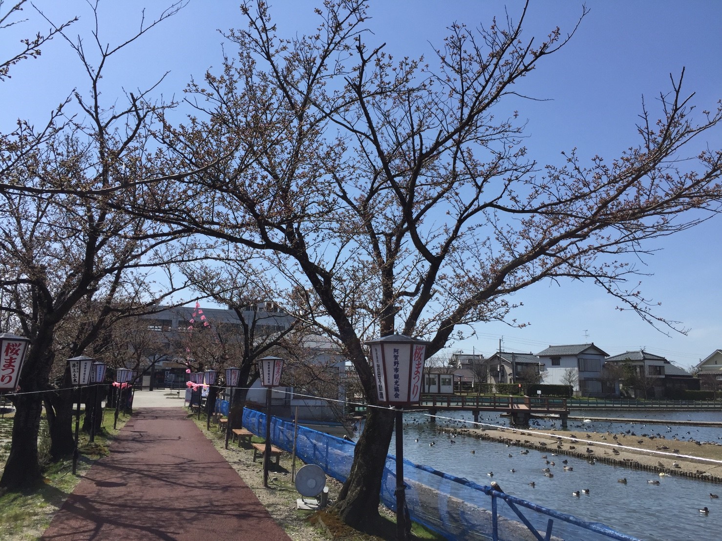 プジョーのある生活（題名お借りしてます）