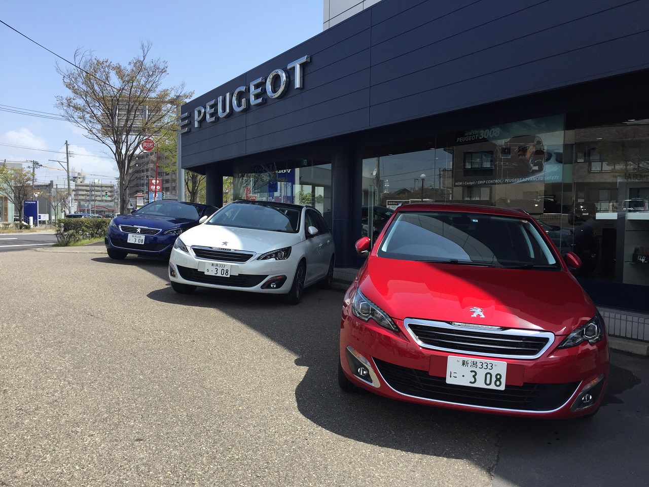 フランスカラーの・・・