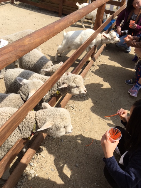 さわやかな那須高原へ