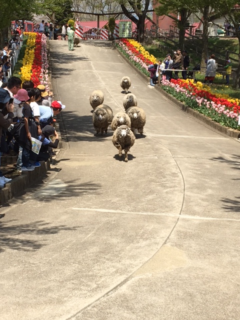 さわやかな那須高原へ