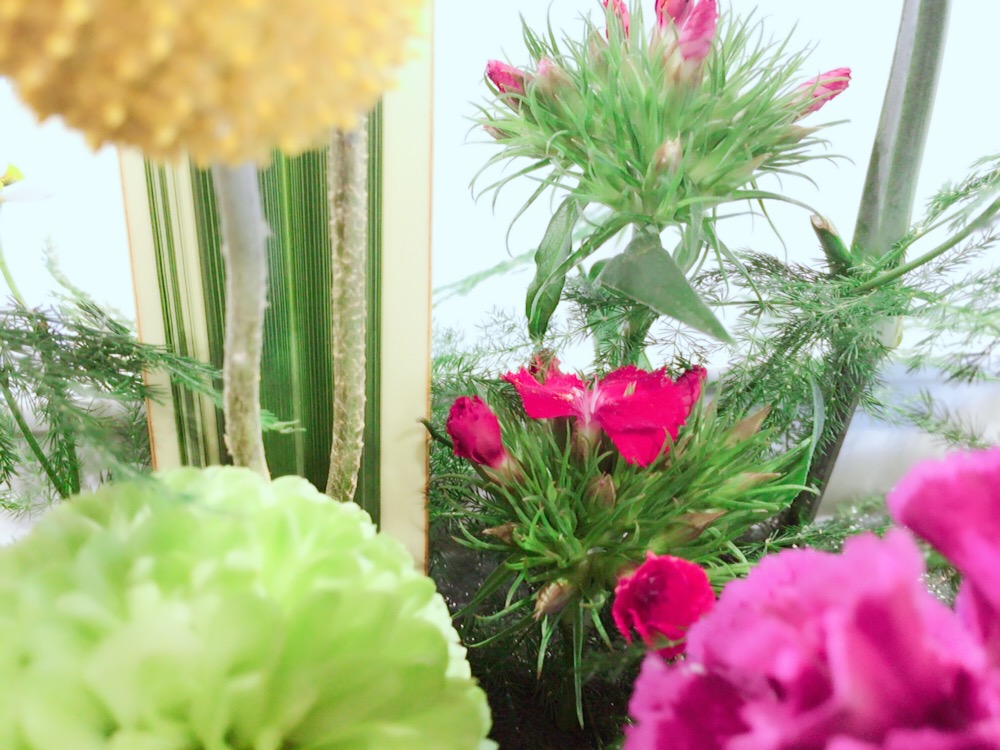 お花紹介