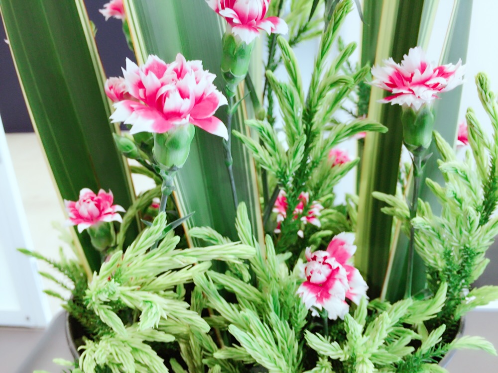 お花紹介