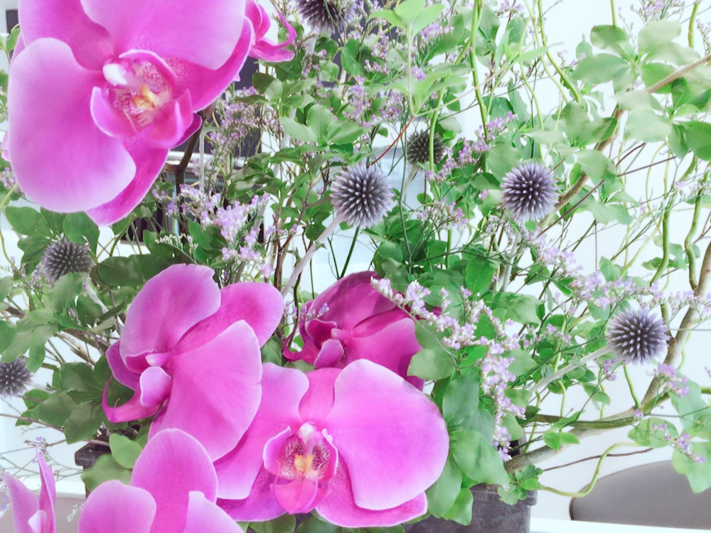 お花紹介