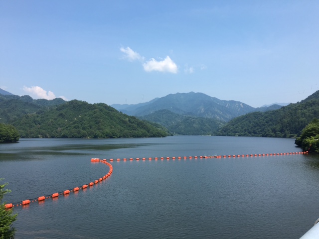 水を求めて