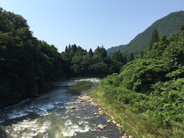 水を求めて
