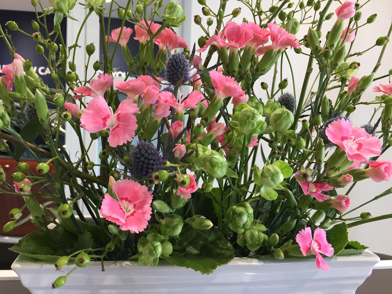 お花紹介