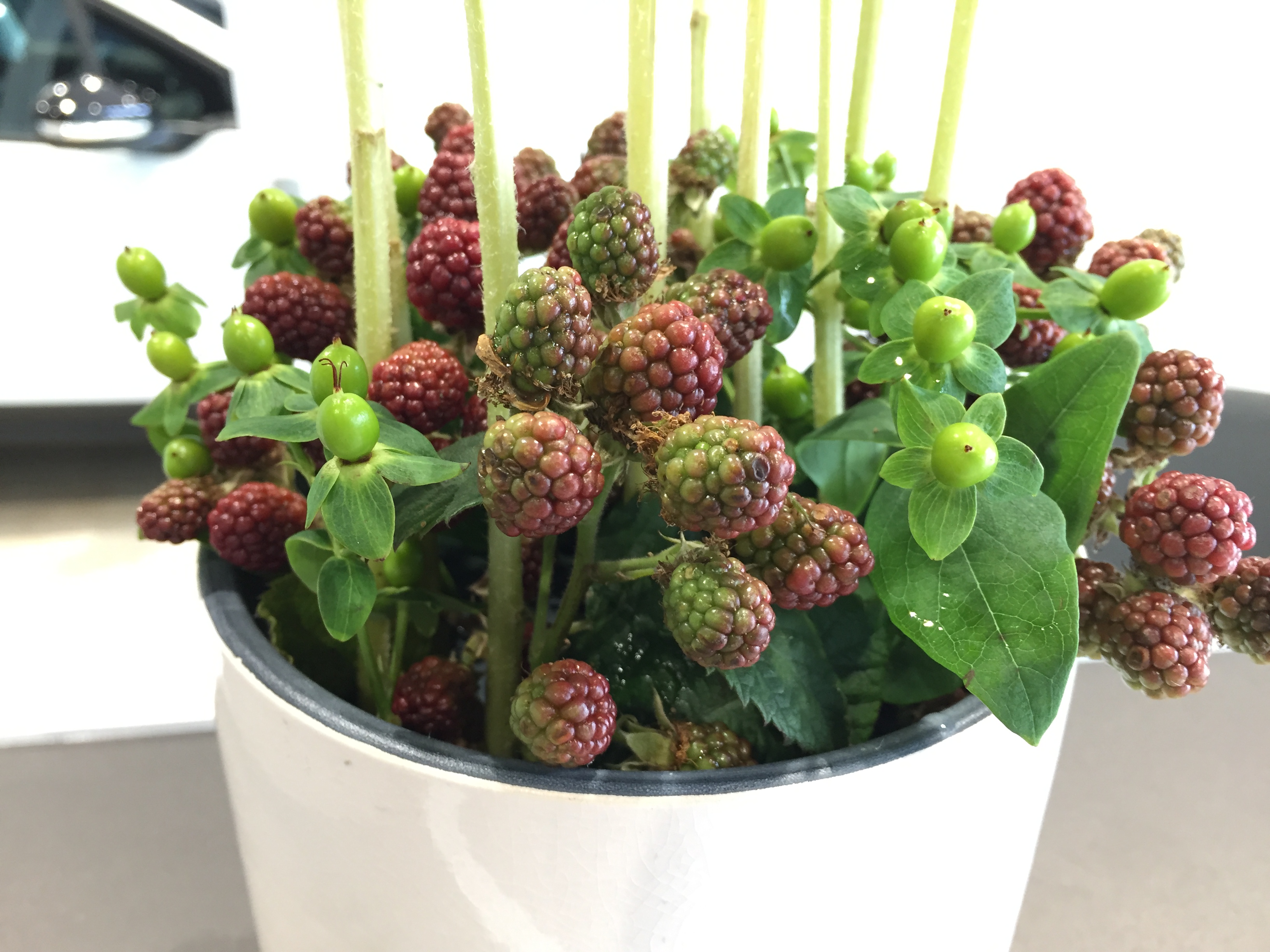 お花紹介